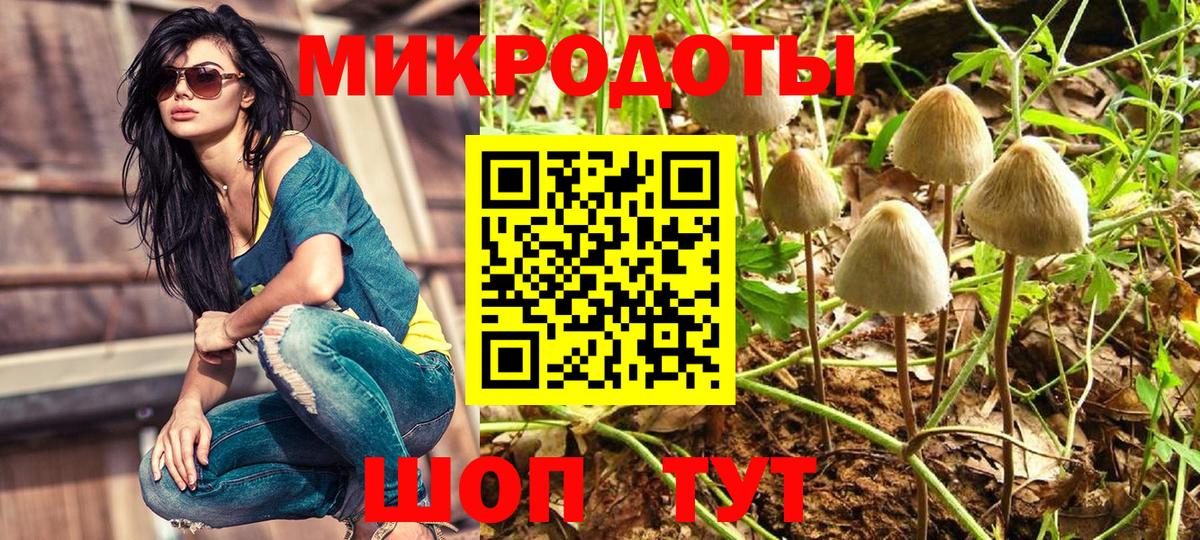 Псилоцибиновые грибы GOLDEN TEACHER Тобольск