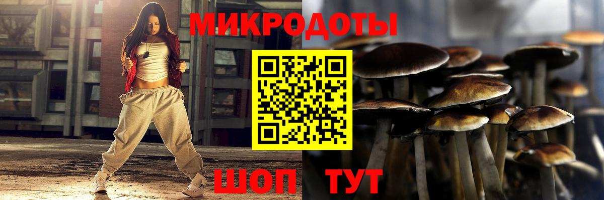 Галлюциногенные грибы Psilocybe  Вход с VPN  Тобольск 